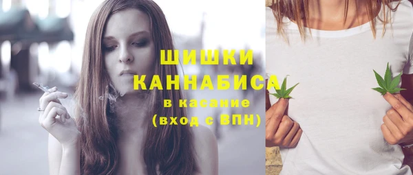 мет Дмитров
