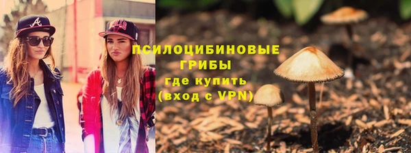 мет Дмитров