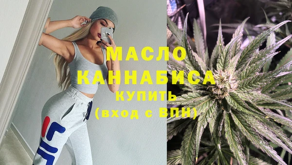 мет Дмитров